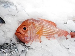 Рыба, замороженная в шкафу шоковой заморозки