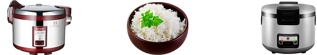Rice2.jpg Rice2.jpg